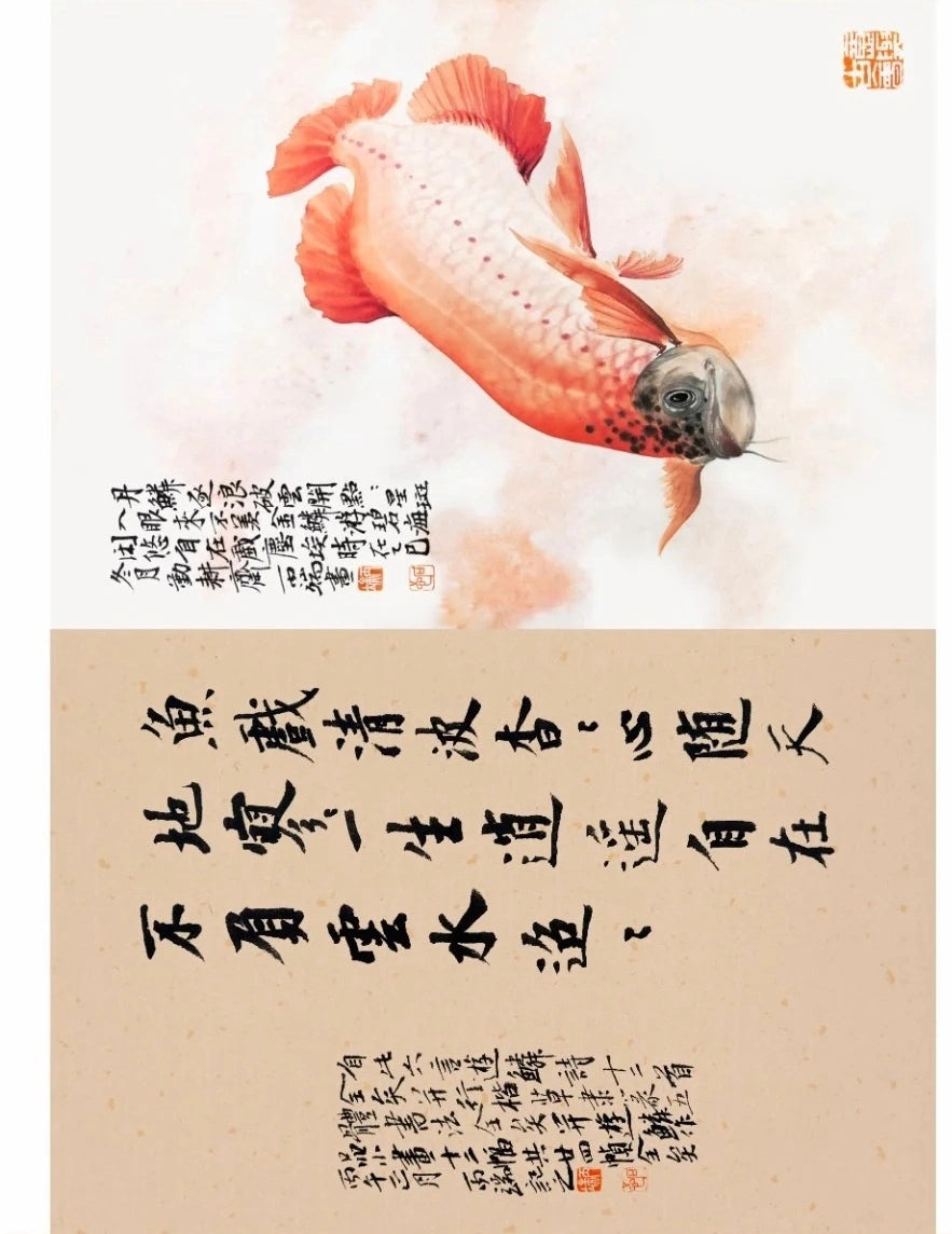 Traditional Chinese Art Print- Album of Poetry & Fish Painting, Chinese Painting  Album