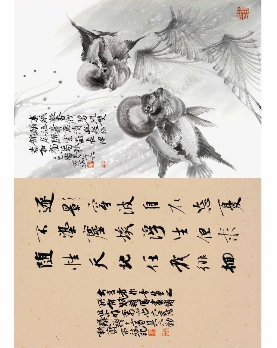 Traditional Chinese Art Print- Album of Poetry & Fish Painting, Chinese Painting  Album
